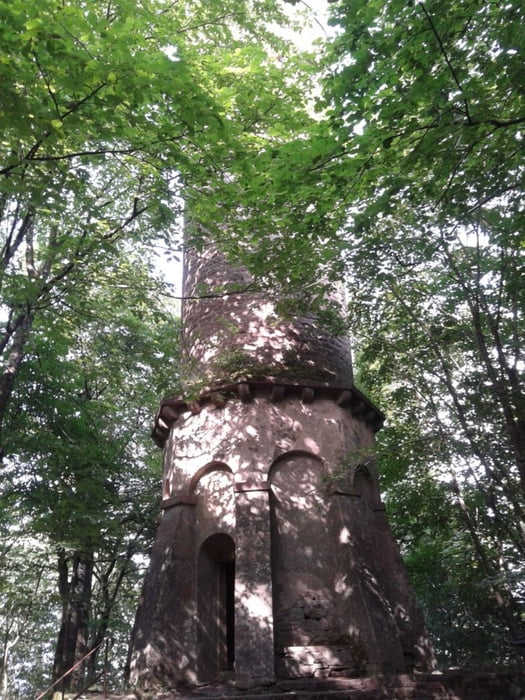 Siedelsbrunn-Katzenbuckel-Siedelbrunn [Odenwald Murder Tour]