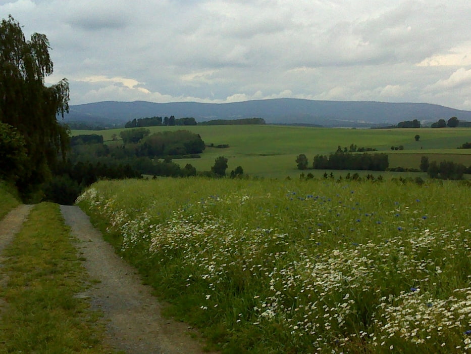 Rundwanderweg 9 des OWV Windischeschenbach