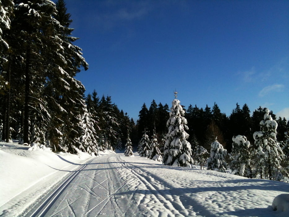 Loipe 21, Finsterberg, Adlersberg, Vessertal