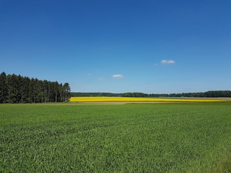 Wanderung oberhalb von Greding