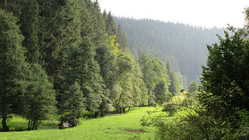 Böhlener Tal Runde