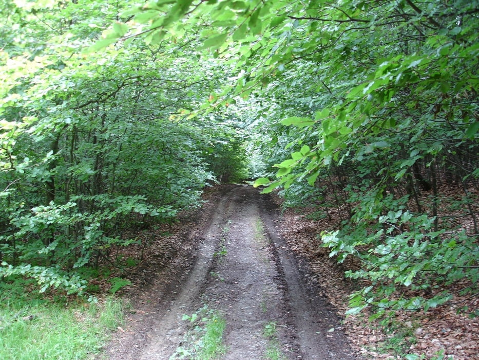 Mollseifen-Rehseifen-Girkhausen