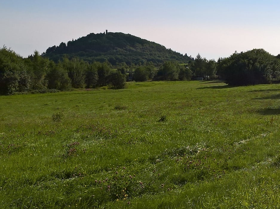 Über drei Gipfel rund um Altenberg