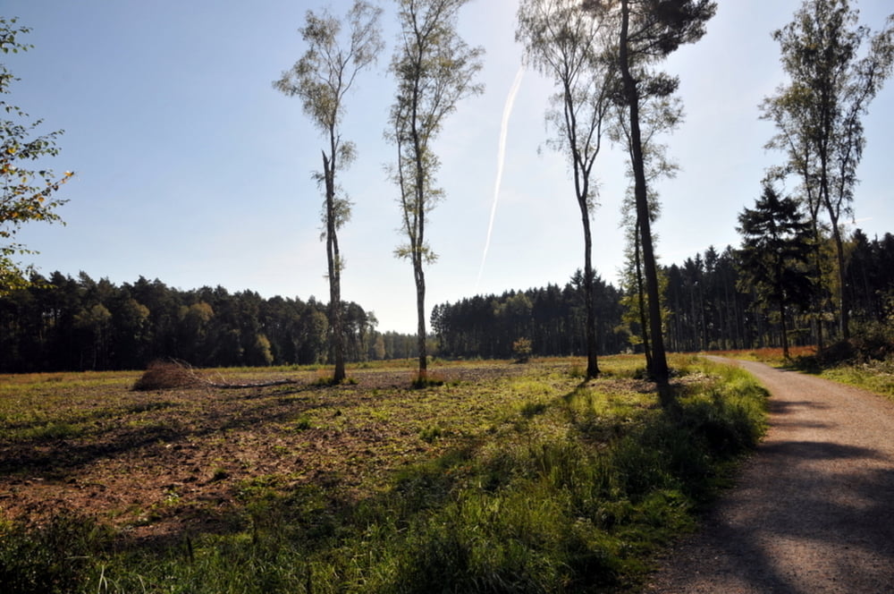 Solingen - Langenfeld