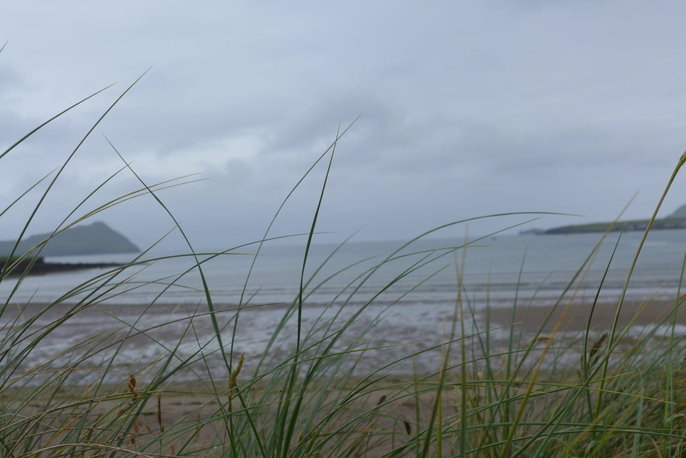 Dingle Way: Von Dunquin nach Feohanagh