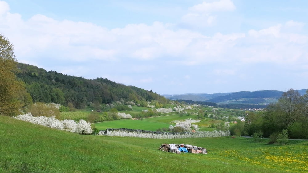 Wandern Franken: Kirschblüte Kreis Forchheim- Oberlindelbach