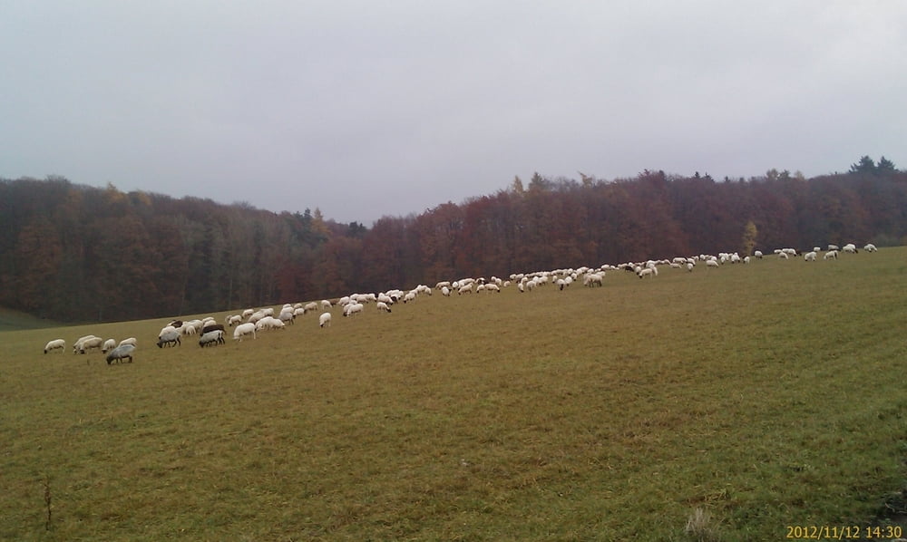 Von Zeil am Main zur Kirchweih nach Neubrunn und Jesserndorf