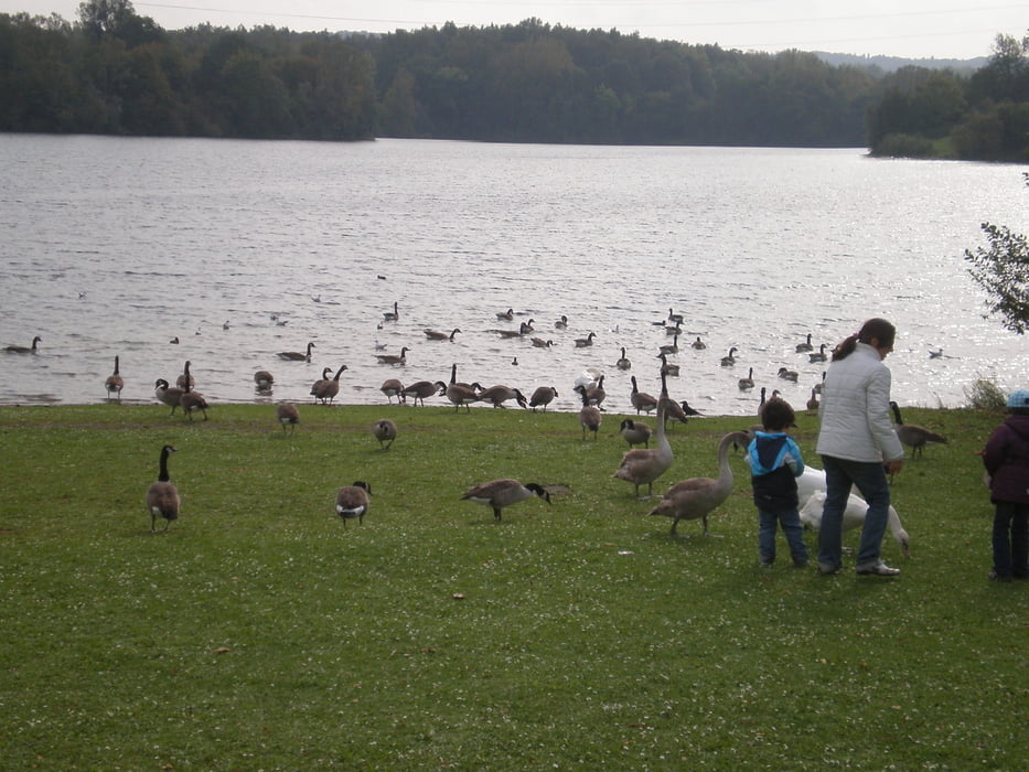 Aaper Wald und Ratingen