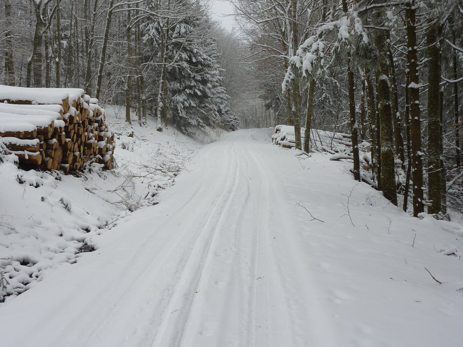 rund um den Bauersberg