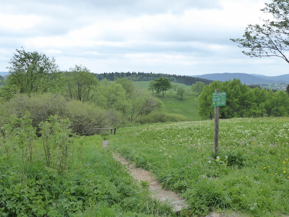 Bergwiesen rund  um St. Andreasberg - Höhenwanderweg