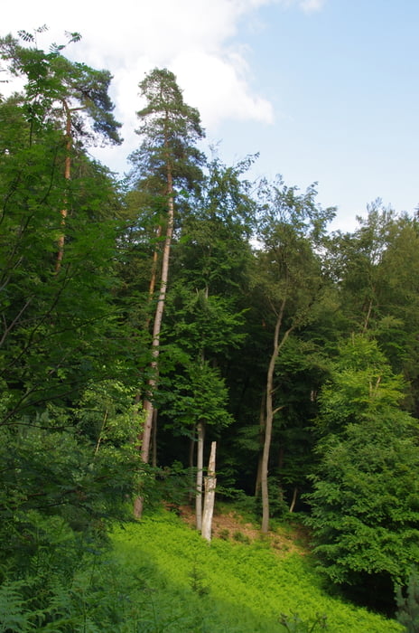 160701-Kirkel Schwarzenbach
