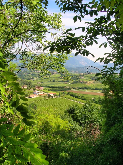 Conegliano -Valldobiadene