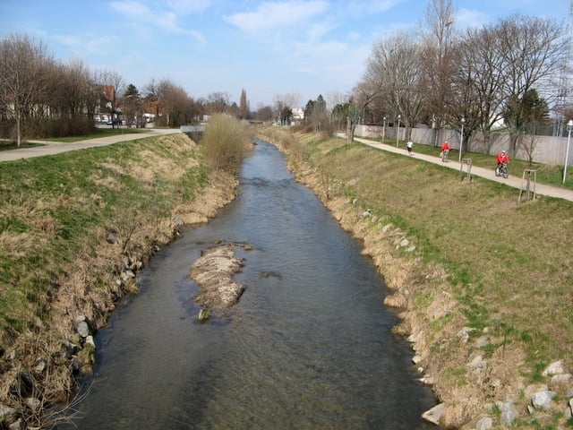 Schneeglöckchen in der Lobau