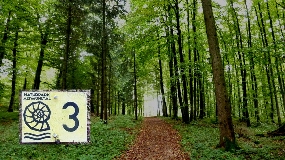 Weißenburg i. Bay. Weg Nr. 3 (Eichelbergweg)