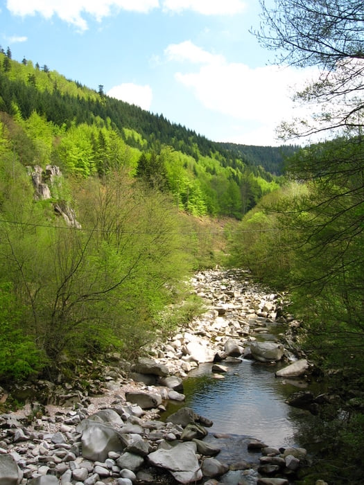 von Achern über Ruhestein, Hohloh, Albtal nach Karlsruhe 