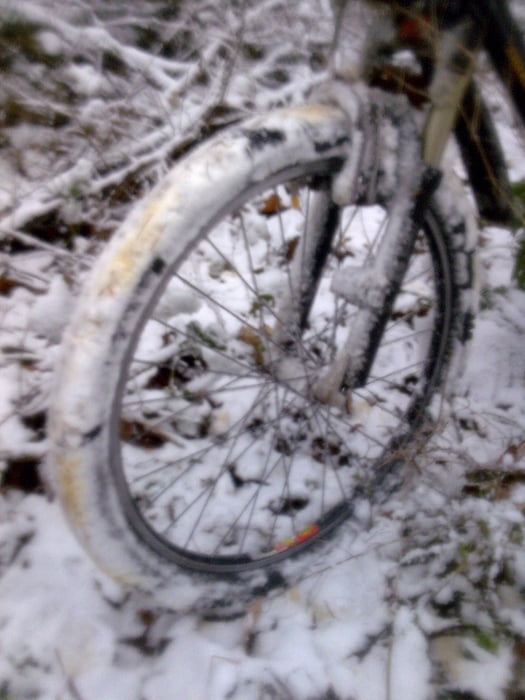 Schneefalltour zum Großensee und Pfefferberg