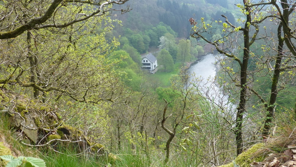 140413 Wupperhöhenweg