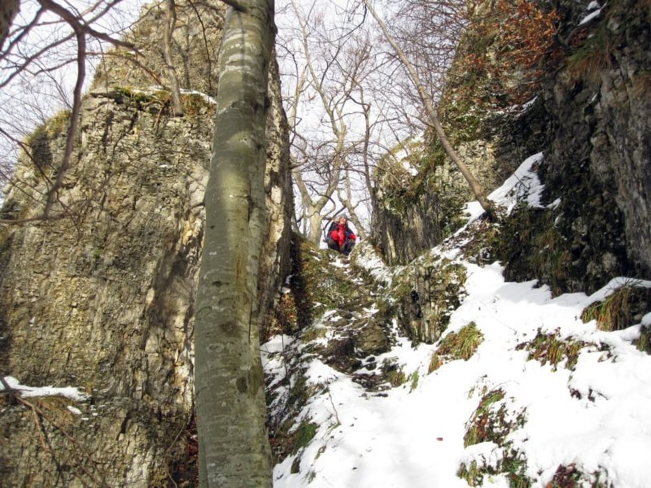 Schneeschuhwanderung Hohen Urach - Uracher Wasserfall - Runder Berg - Gütersteiner Wasserfall