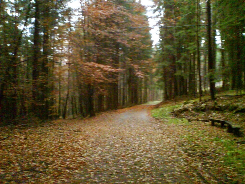 Spessartquerung: Schwarzkopftunnel