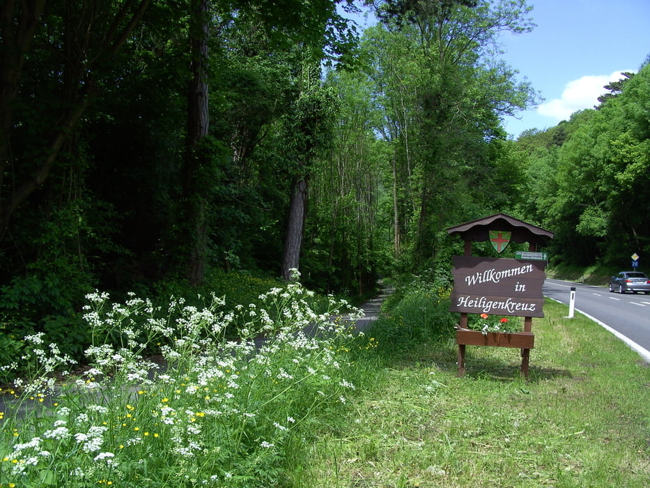 Im Wienerwald rund um den Hühnerberg