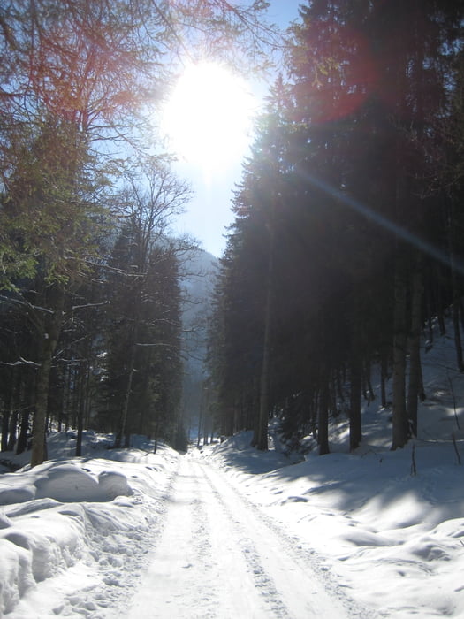 Turntaler Kogel