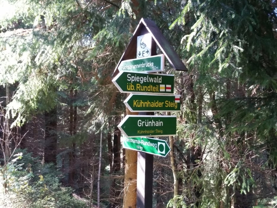 Kleine Wanderung in der Moosheide
