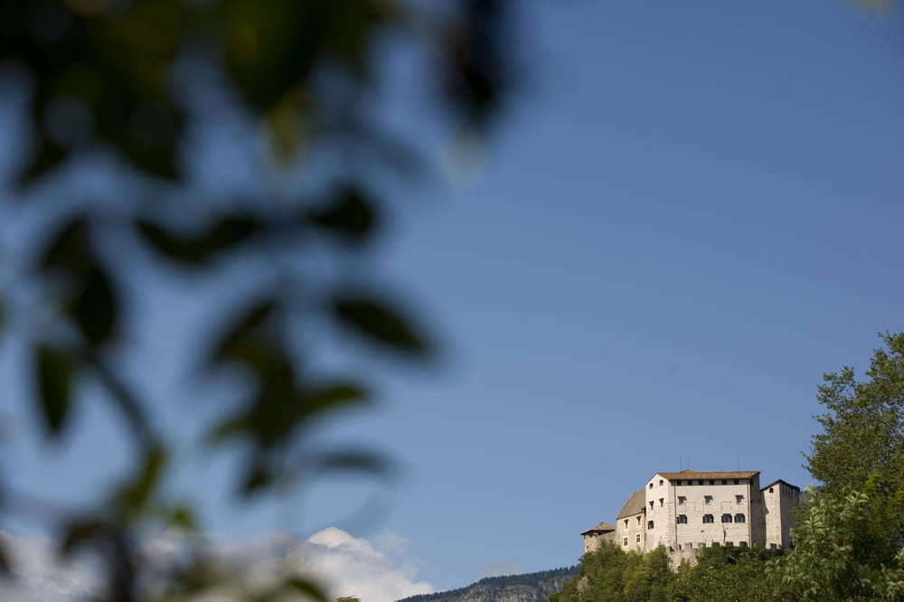 CAMMINO DELL'ARTE