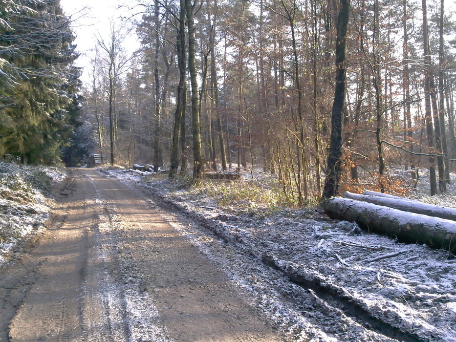 Durch den Osning (Teuto) mit rustikaler Einkehr