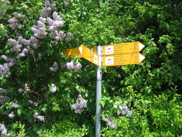 Sipplingen-Blütenweg-Haldenhof-Churfirsten