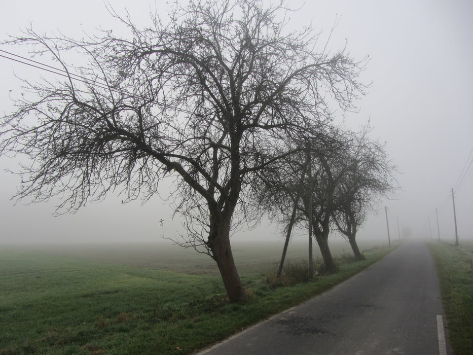 Zum Plettenbrink See