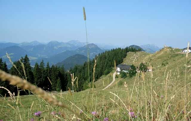 Spitzstein - Von Sachrang auf den Spitzstein; Bergab mit Trails