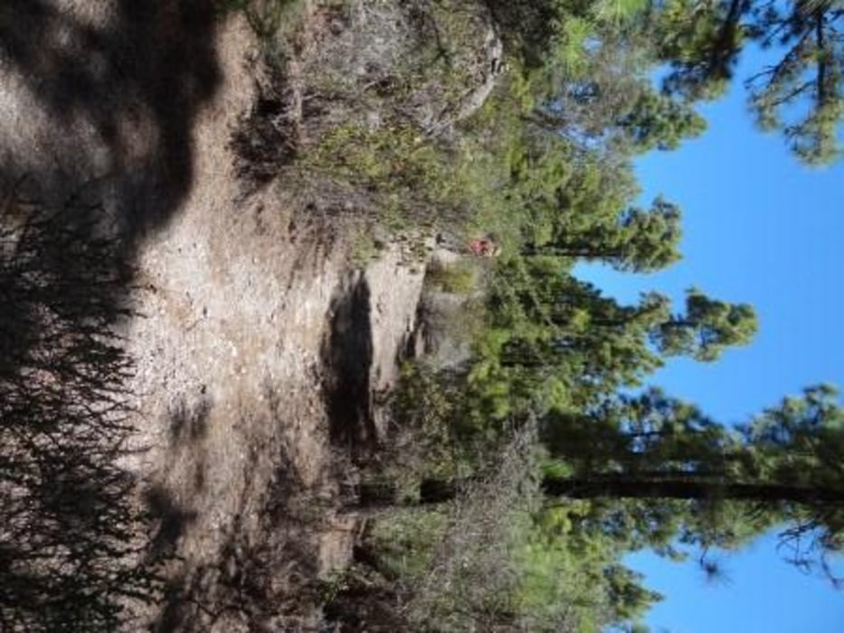 Vilaflor Rund um den Montana de los Pinos