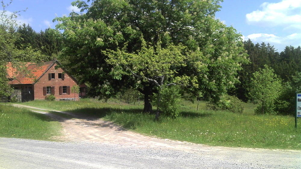 Rund ums Hafenlohrtal