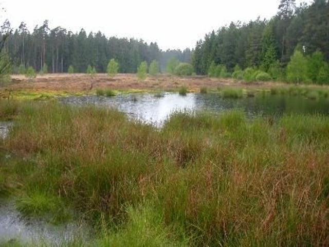 Naturschutzgebiet Christenberg