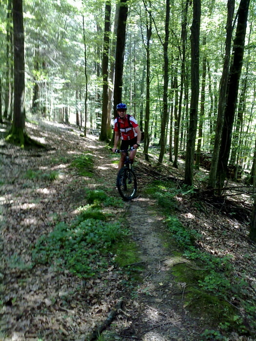 Reichenbach/Fils-Kirnbachtal-Nasachtal-Adelberg incl. Trails