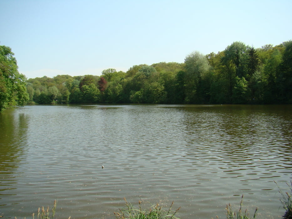 meerdaal woud en de zoete waters