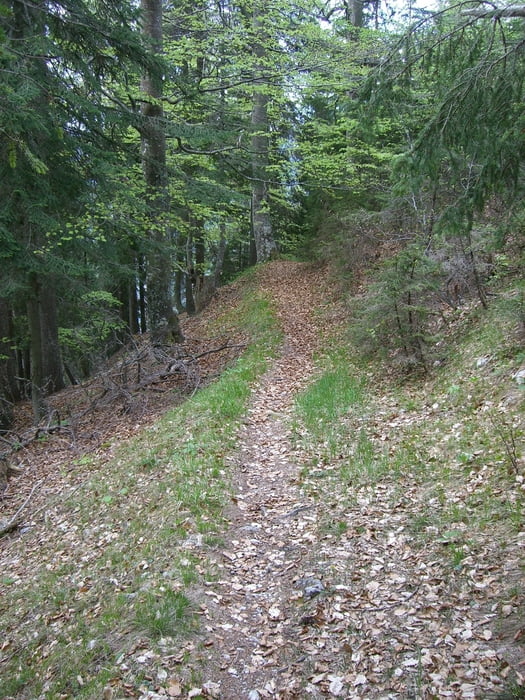 Radniger Alm Trail 246 u. Vellacher Alm Trail 248 - (ca. 2000 hm)