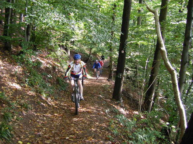 Malmedy Rheinhartstein