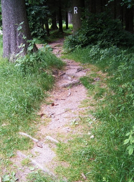 Frauenwald-Kikelhahn Rundtour