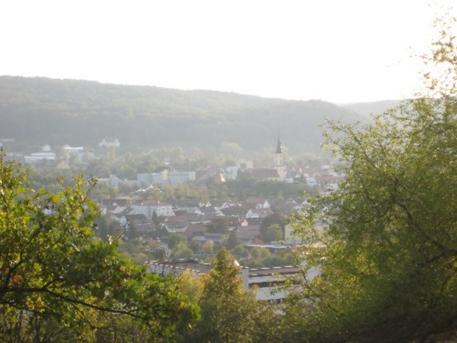 Vom NaturFreundeHaus Hammertal zum NaturFreundeHaus Schönhofen