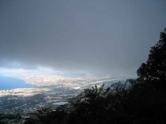 Orotava Tal