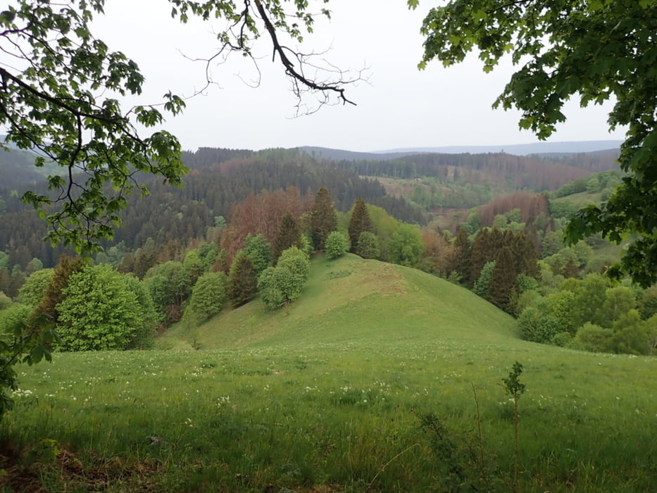 Höhenweg (original) - St. Andreasberg - Bergwiesen