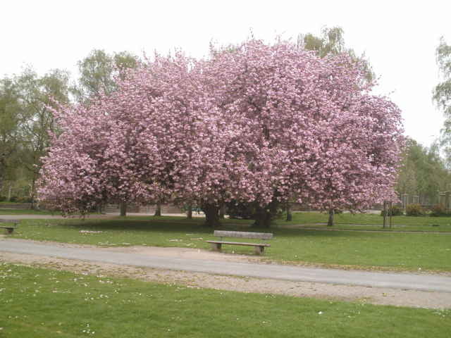 Dortmund-Lünen 20080513