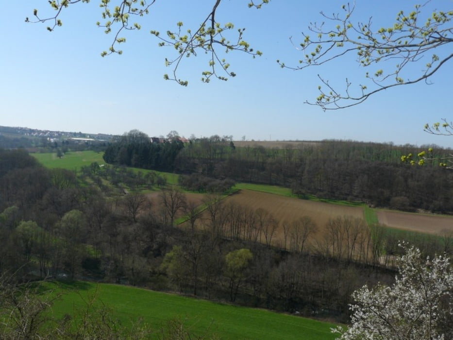 Rundwanderung bei Steinheim