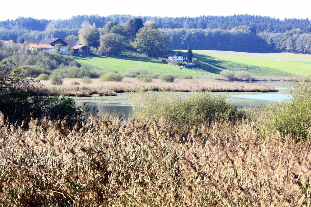Egglburger See - Aussichtsturm - Klostersee