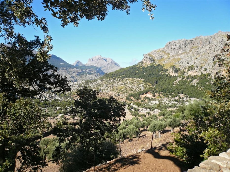 SONNTAGS-Wanderung um den Puig Roig - Rother 34