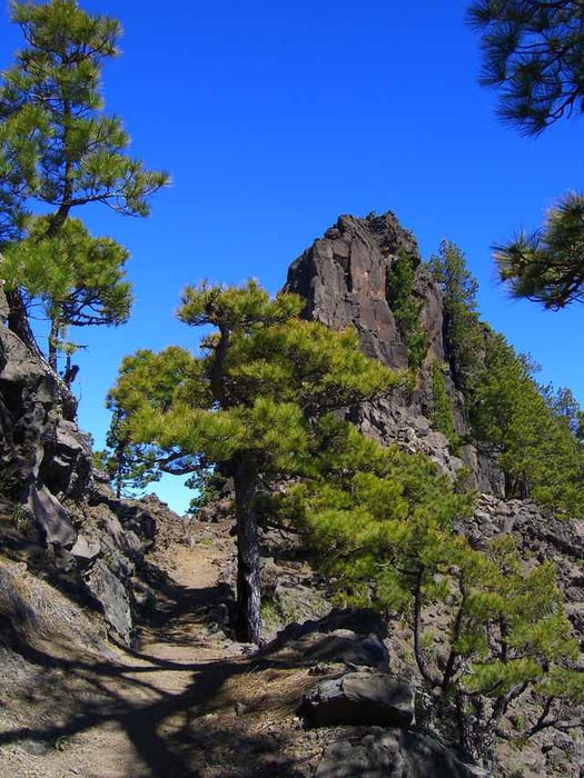 Ermita Virgen del Pino - Pico Corralejo und zurück