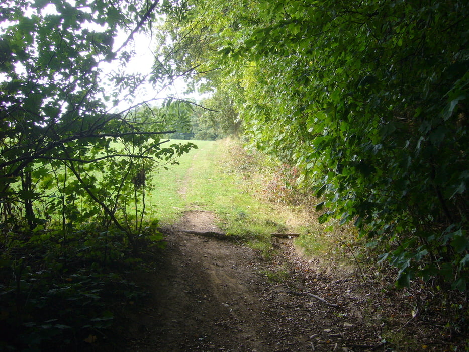 Best of Lindelberg – Igensdorf, Regensberg, Neusles, Gräfenberg, Teufelstisch