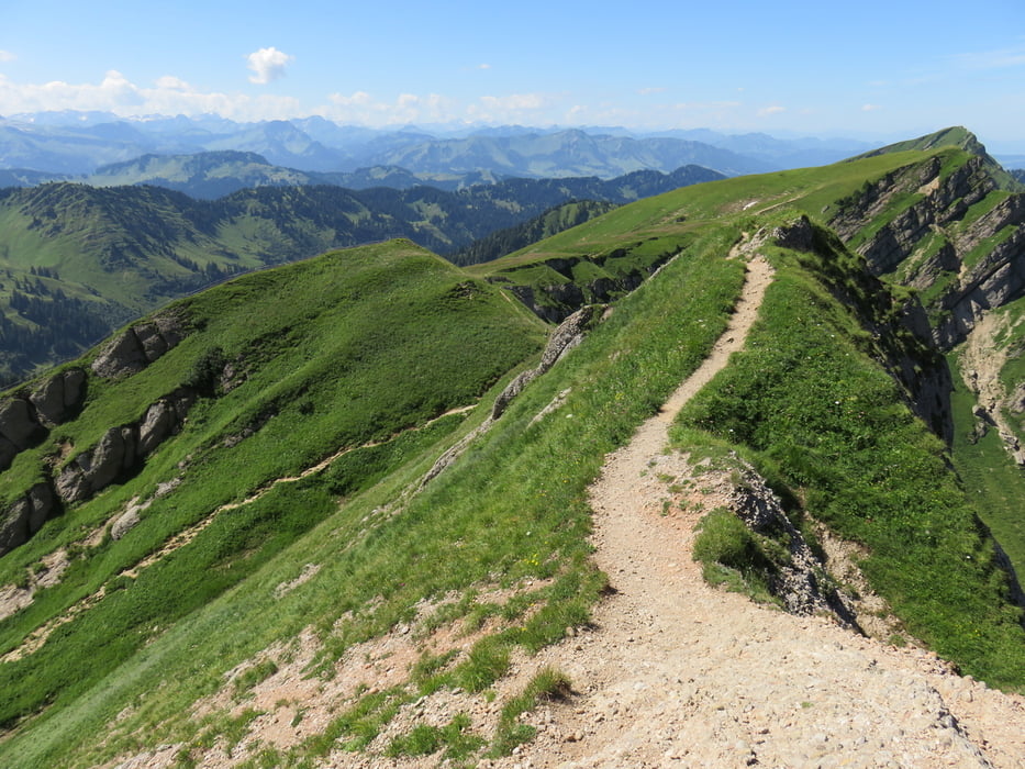 Panoramatour auf den Hochgrat 1834 m über die Brunnenschafte 1626 m und das Rindaplhorn 1821 m 