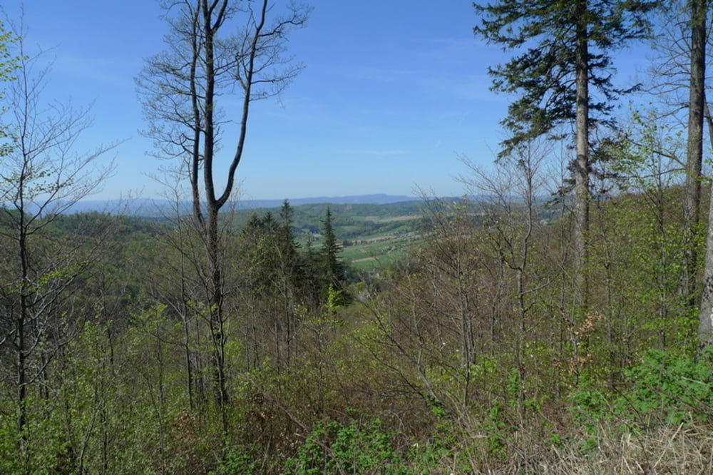 Przełęcz Srebrna - Gołębia - Malinowa - Przełęcz Srebrna